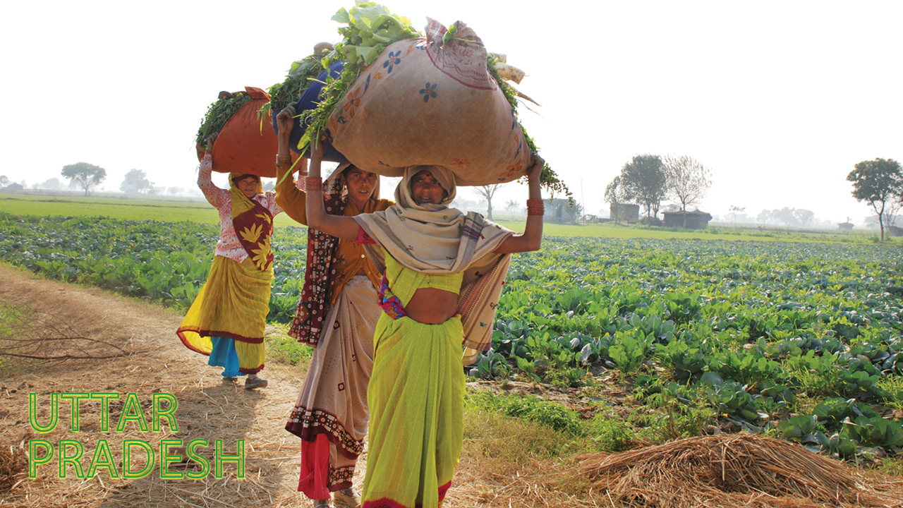 Uttar Pradesh